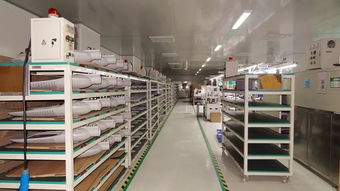 響應一帶一路倡議，燈具塑件企業積極拓展海外市場